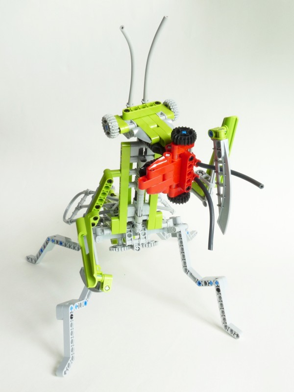 mantis099.jpg
