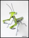 mantis000.jpg