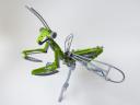 mantis02.jpg