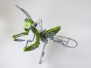 mantis03.jpg