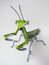 mantis05.jpg