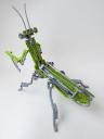 mantis06.jpg