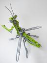 mantis07.jpg