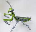 mantis08.jpg