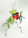 mantis099.jpg