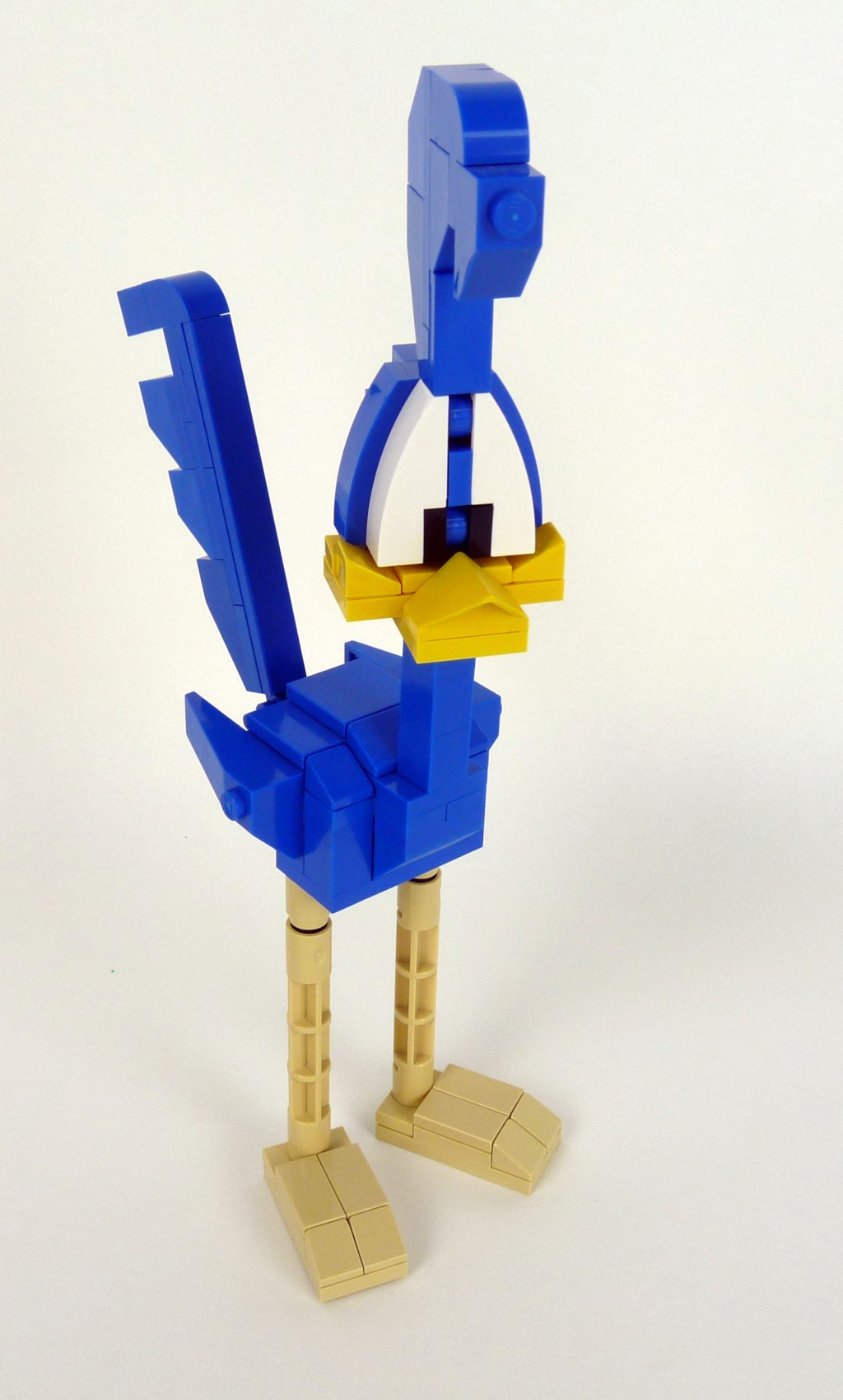 roadrunner001.jpg