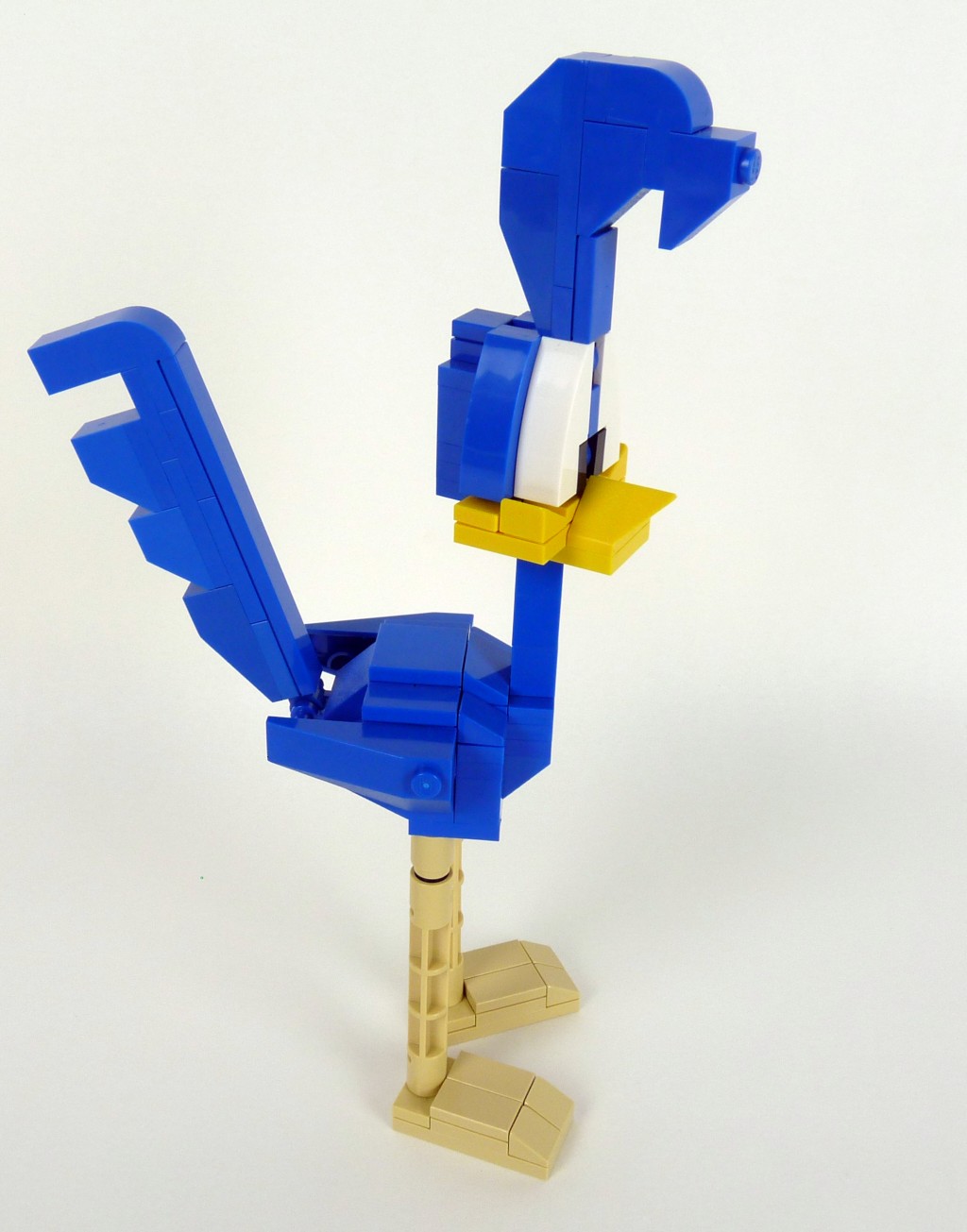 roadrunner002.jpg