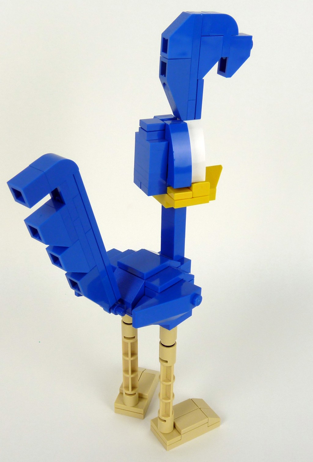 roadrunner003.jpg