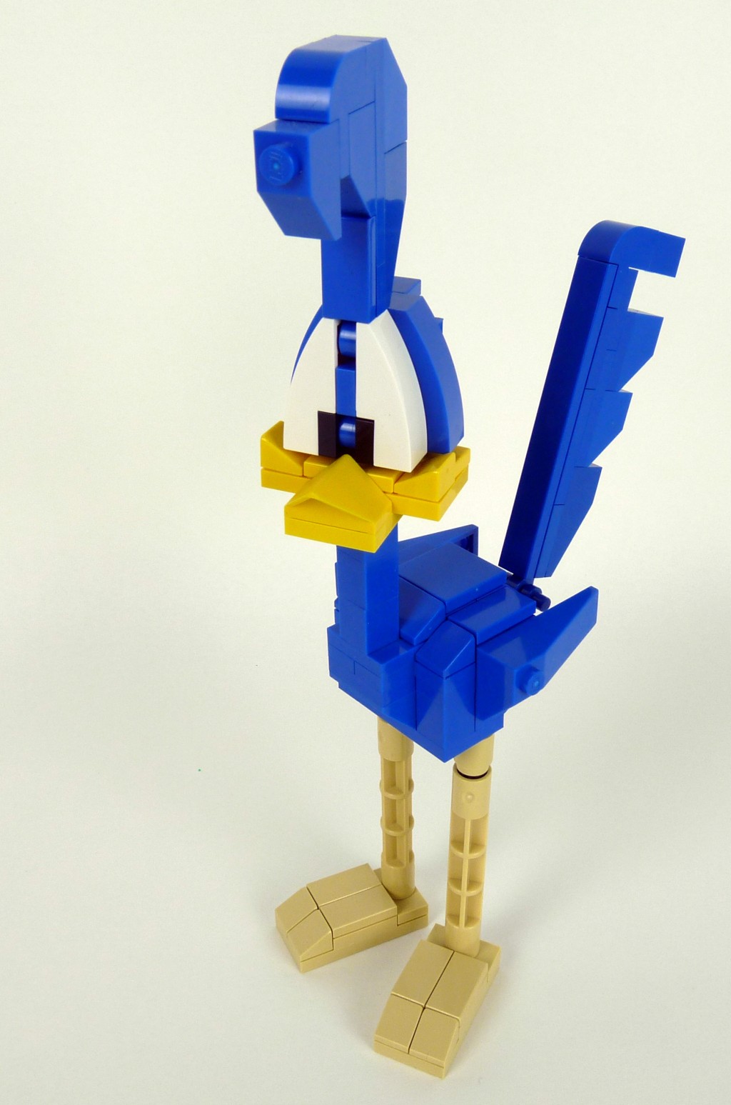 roadrunner004.jpg