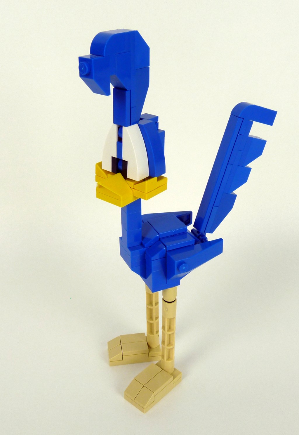 roadrunner005.jpg