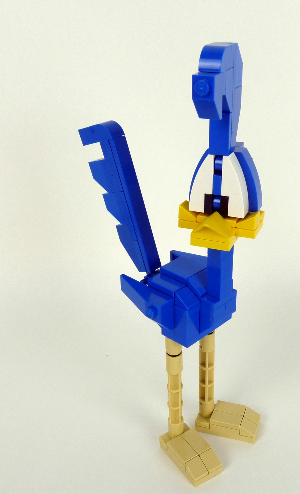 roadrunner006.jpg