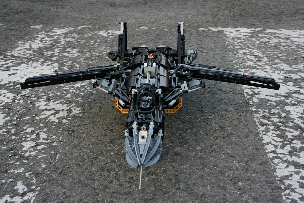berkut_0-19.jpg