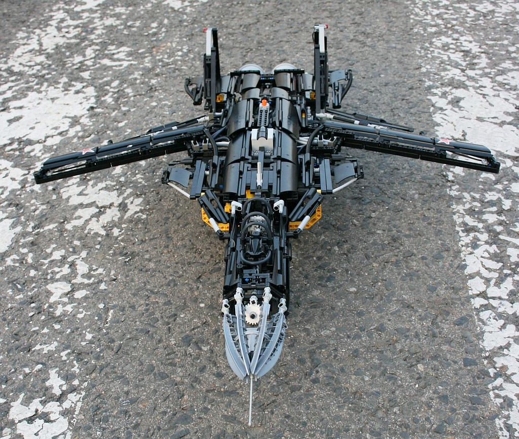 berkut_0-21.jpg