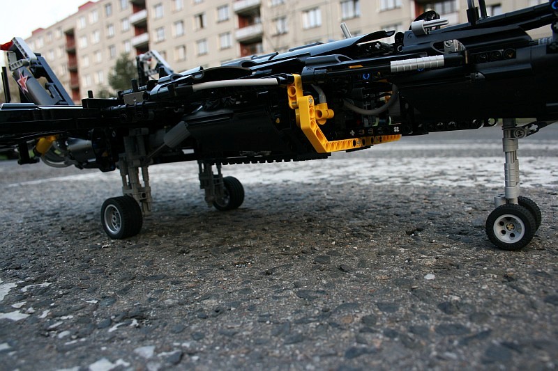 berkut_0-31.jpg