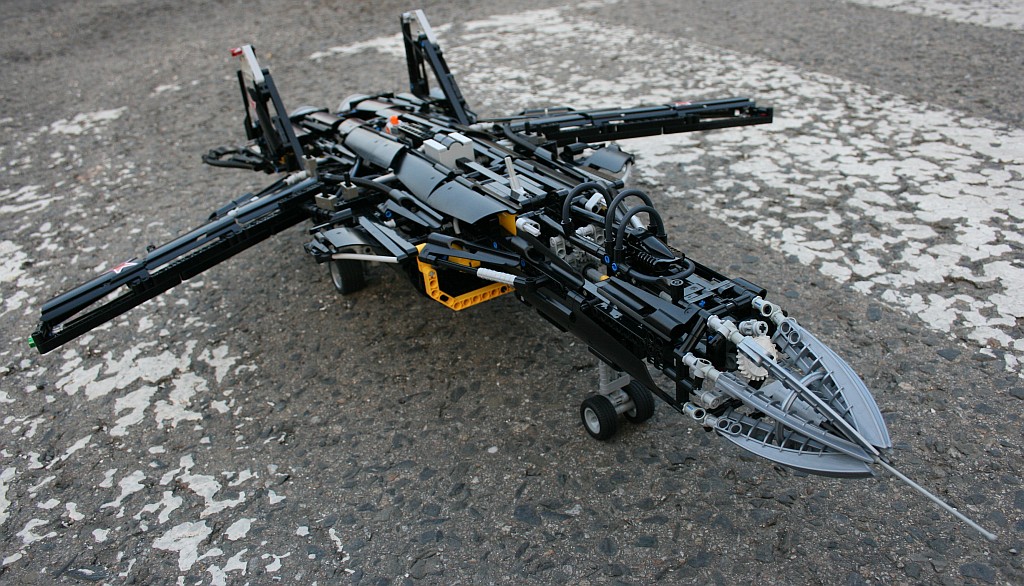 berkut_0-32.jpg