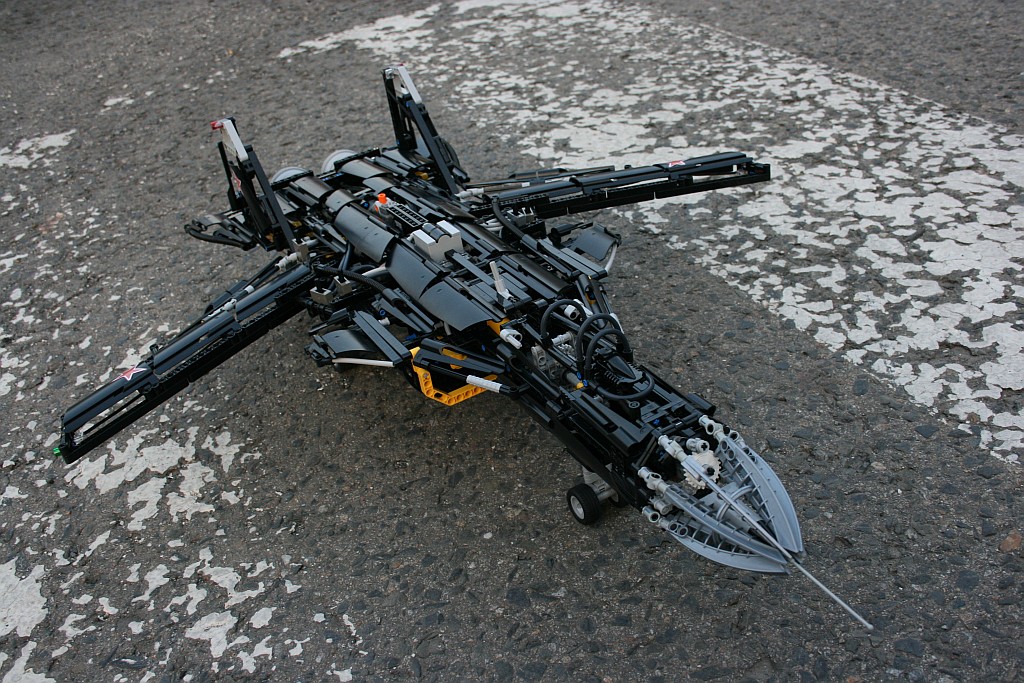 berkut_0-59.jpg