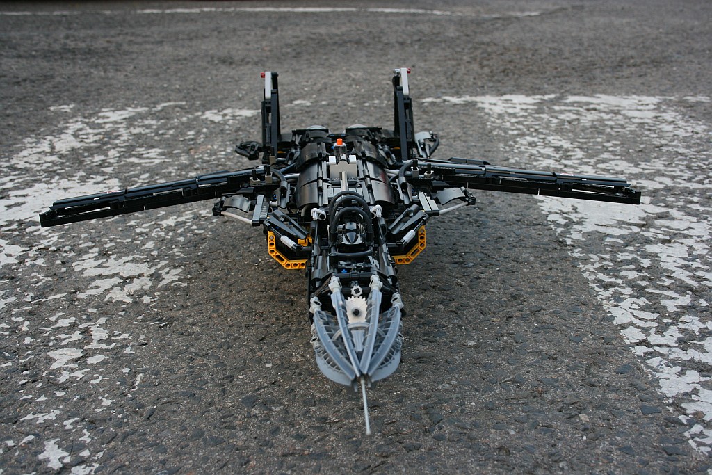 berkut_0-61.jpg