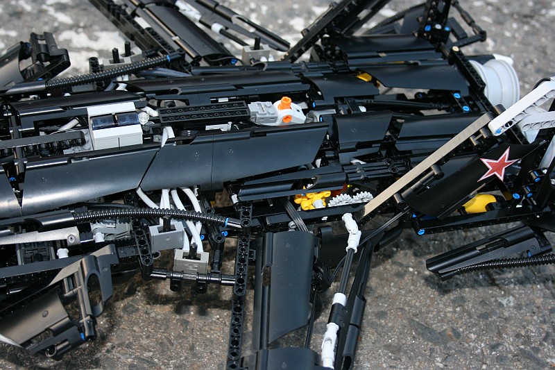 berkut_0-80.jpg