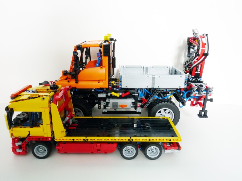 mog1.jpg