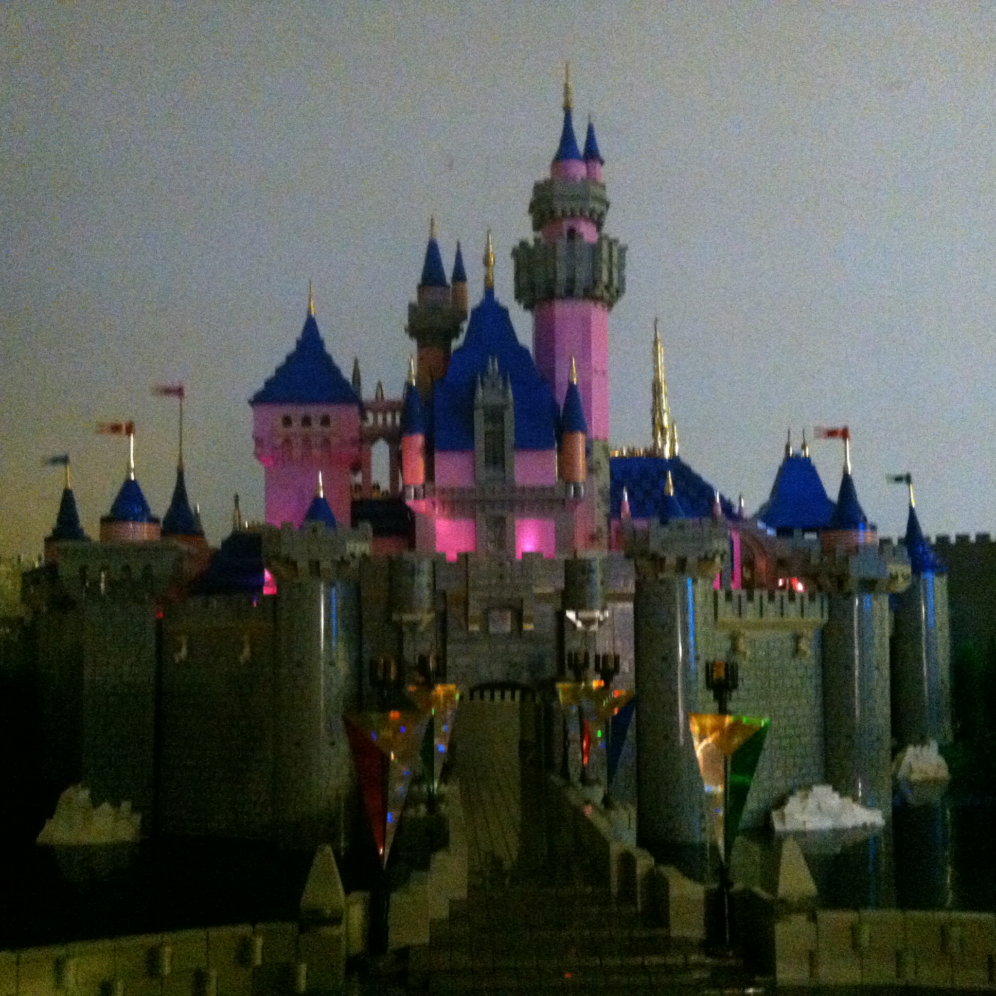 339.jpg