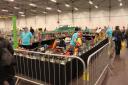 img_0902_resized.jpg