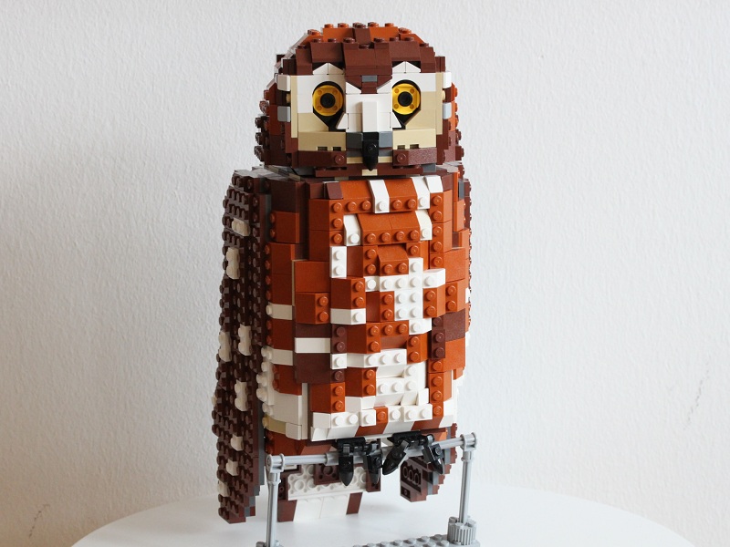 owl1.jpg