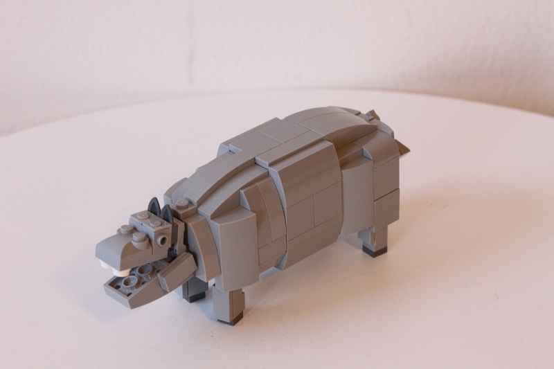 3hippo1.jpg