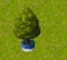apple_tree_2d.jpg