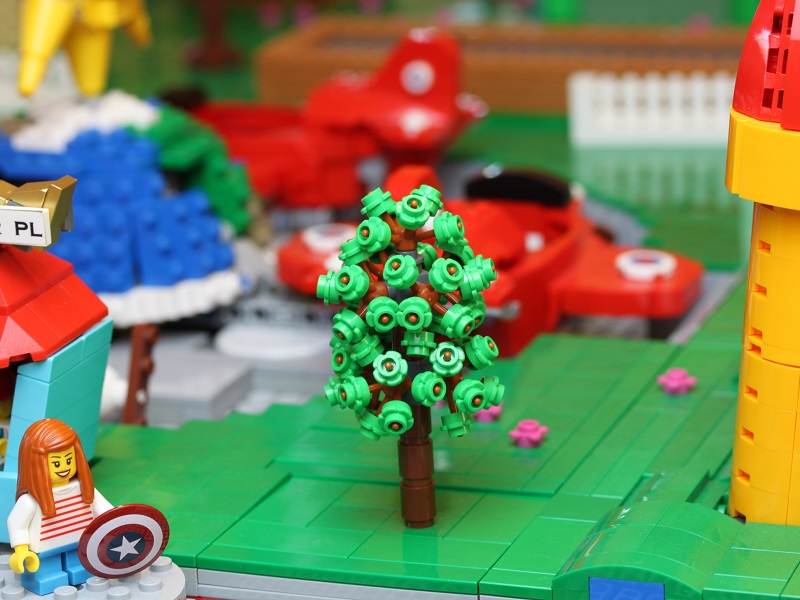 birch_tree.jpg