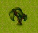 palm_tree_2d.jpg
