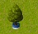 apple_tree_2d.jpg