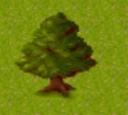 oak_tree_2d.jpg