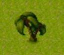 palm_tree_2d.jpg