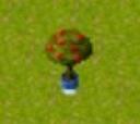 rose_bush_2d.jpg