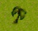 tropical_bush_2d.jpg