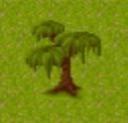 weeping_tree_2d.jpg