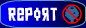 report.png