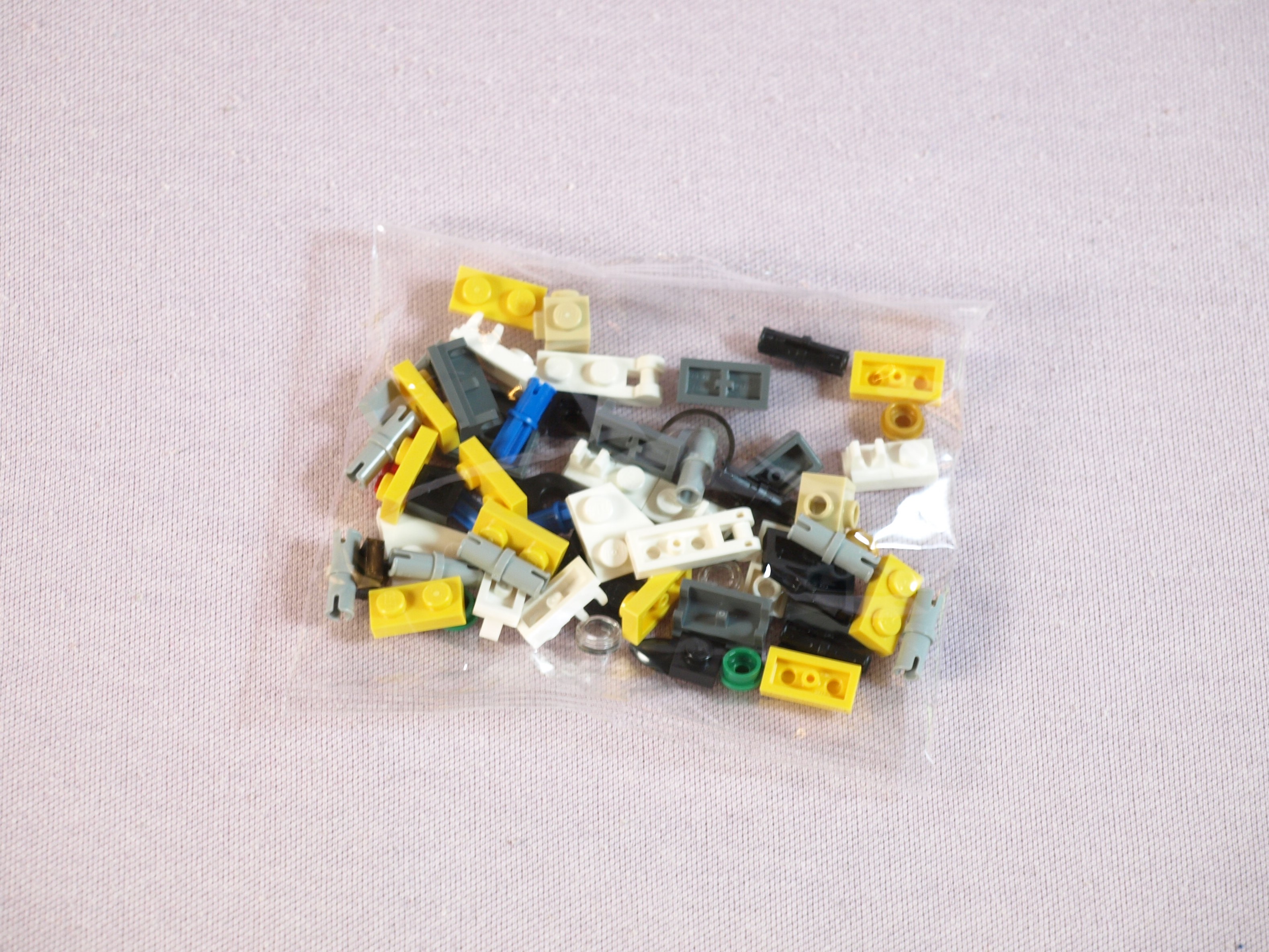 p1014185.jpg