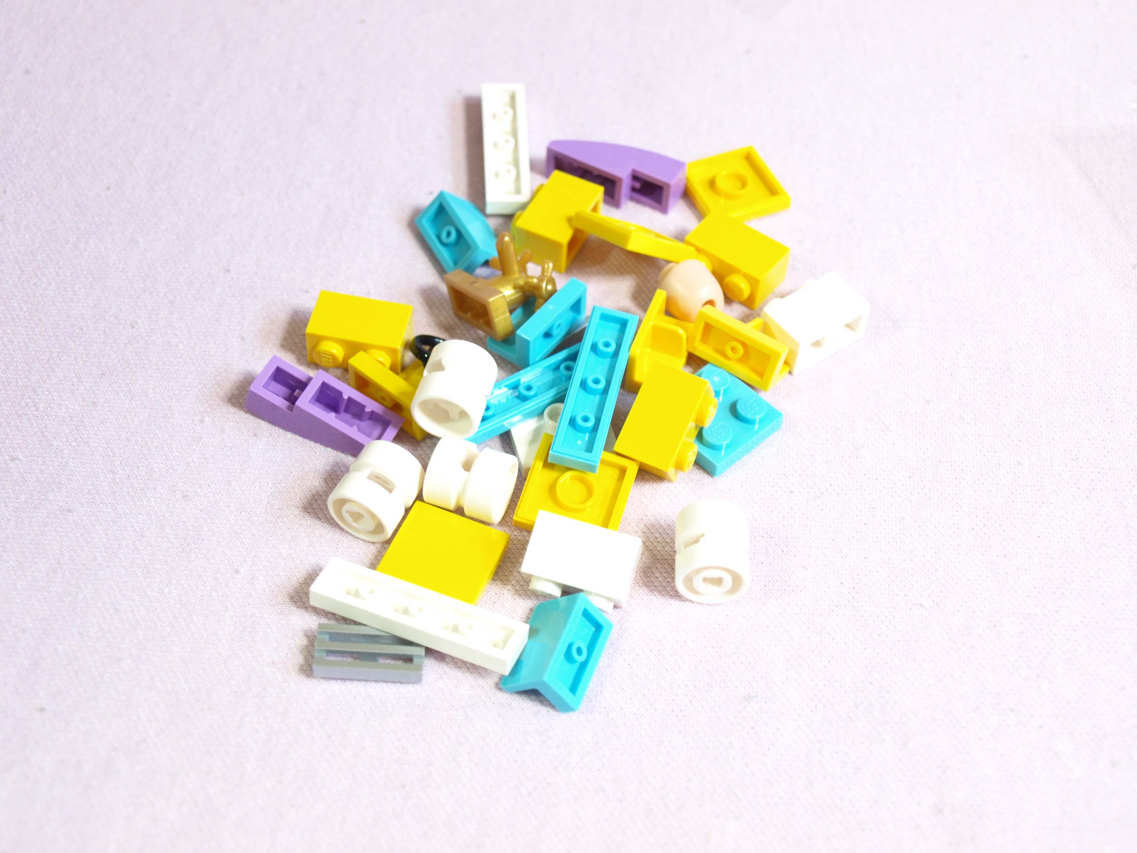 p1016850.jpg