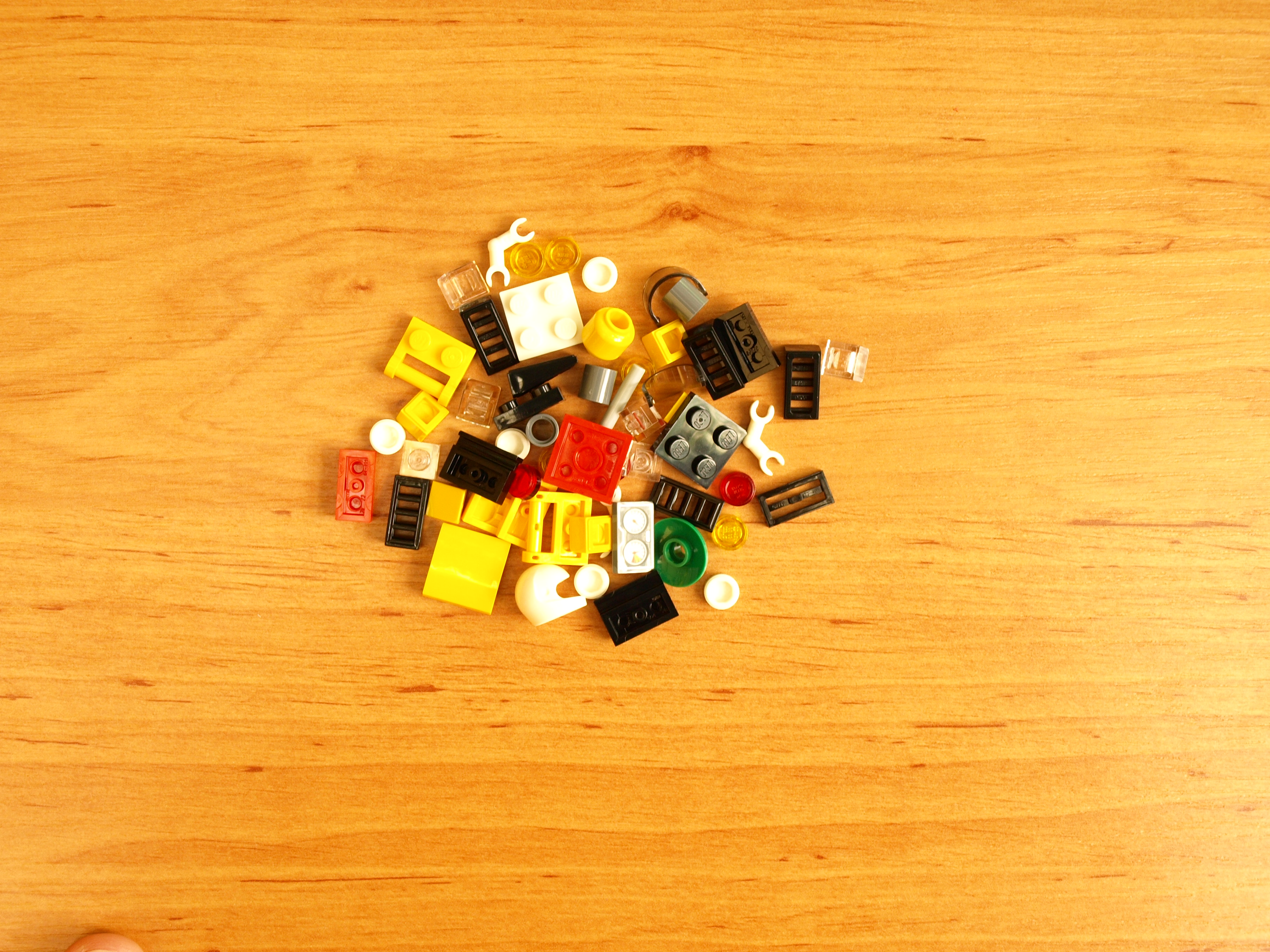 p1016670.jpg