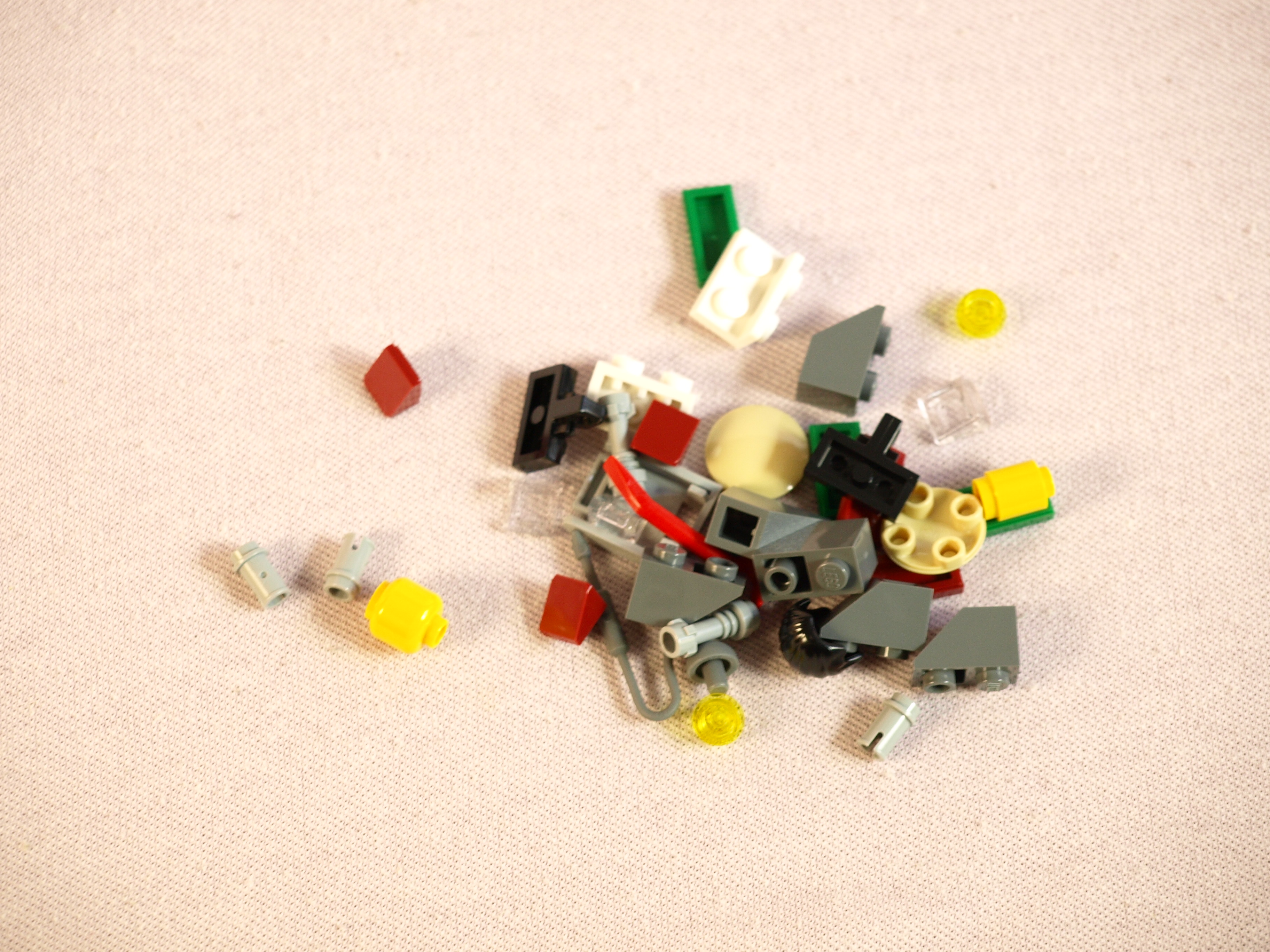 p1011860.jpg
