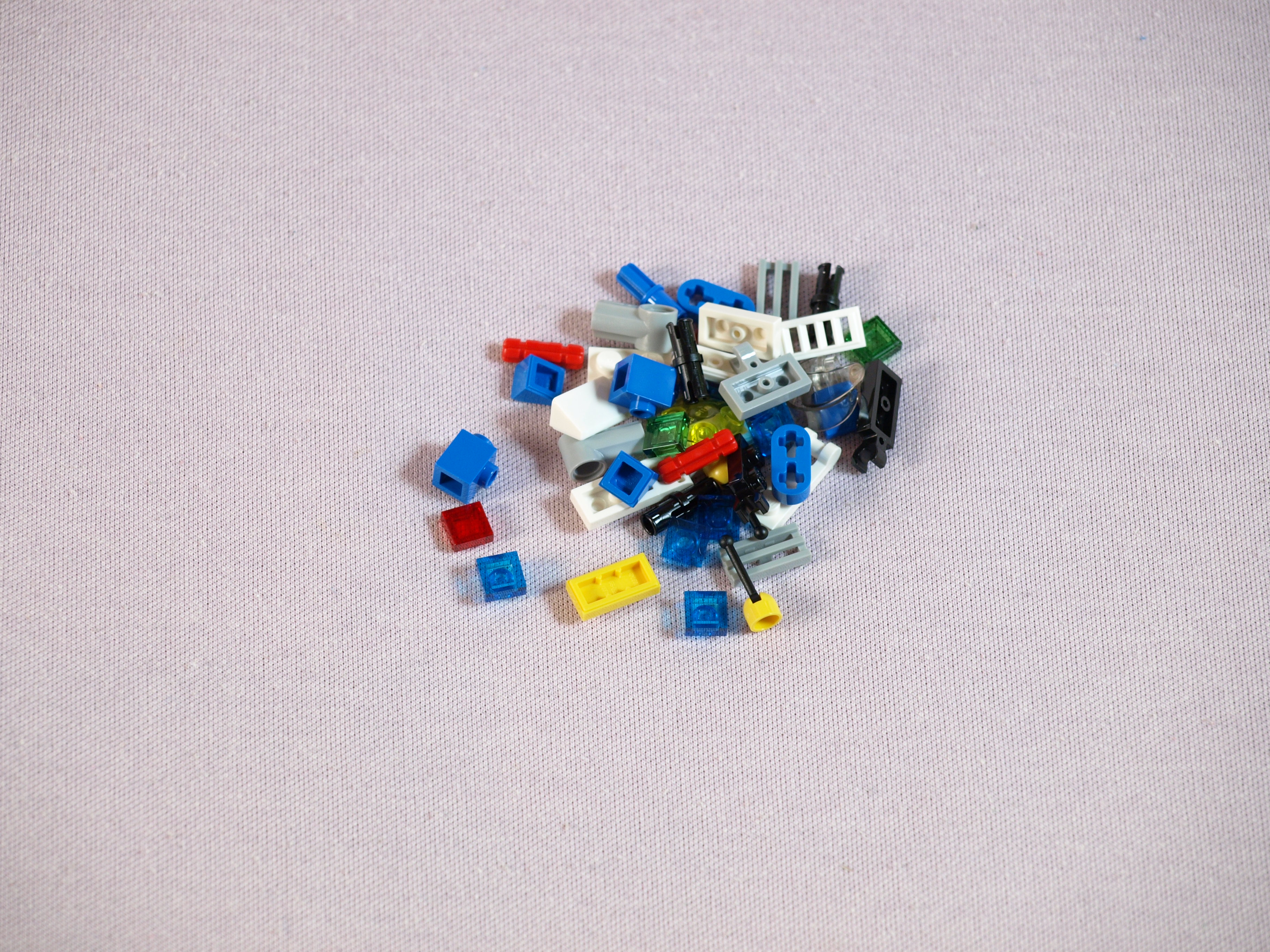 p1014310.jpg