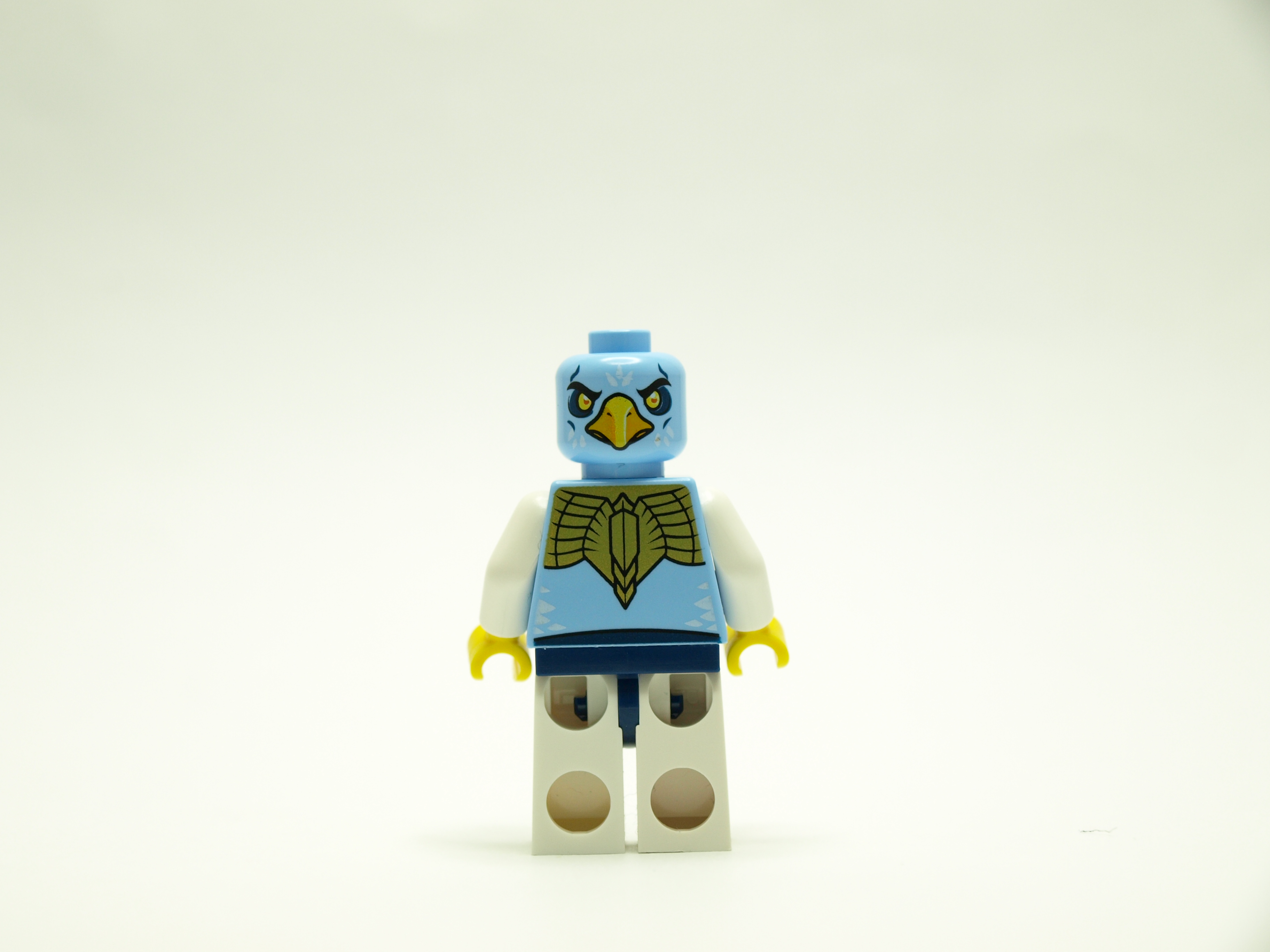 p1014621.jpg