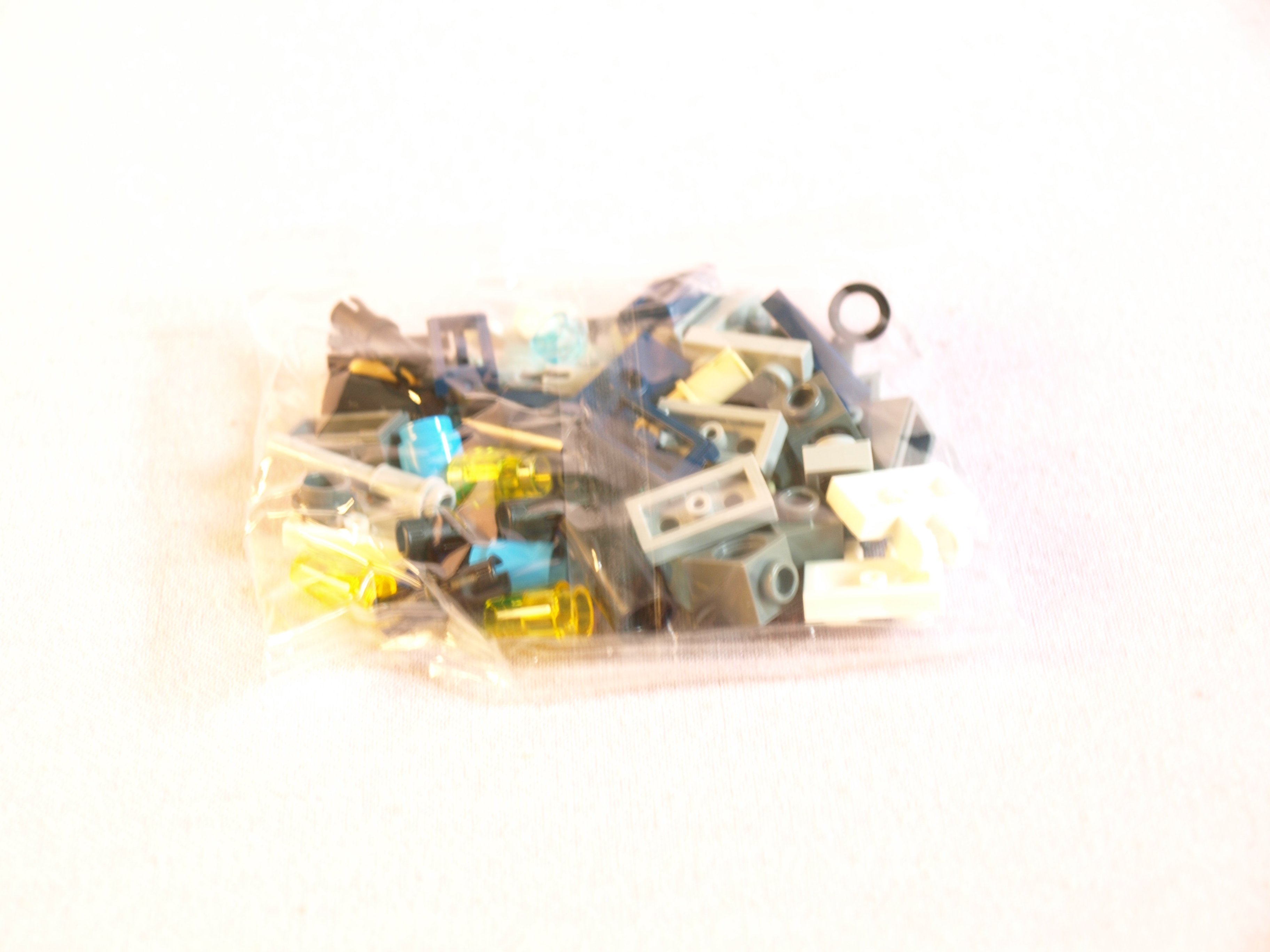 p1016915.jpg