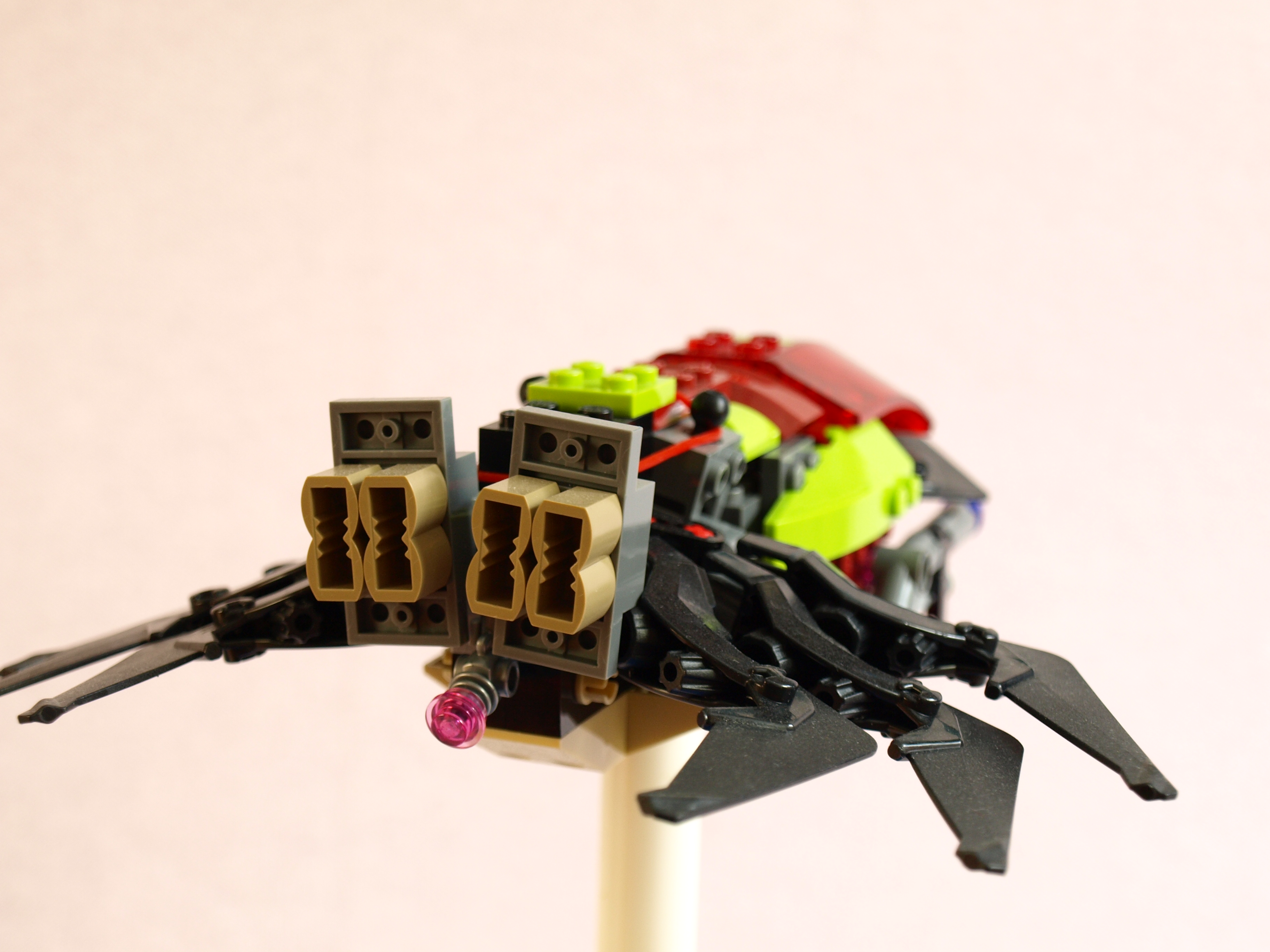 p1017100.jpg