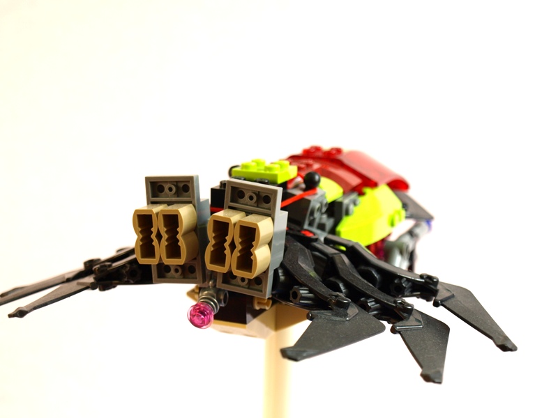 p1017100_small.jpg