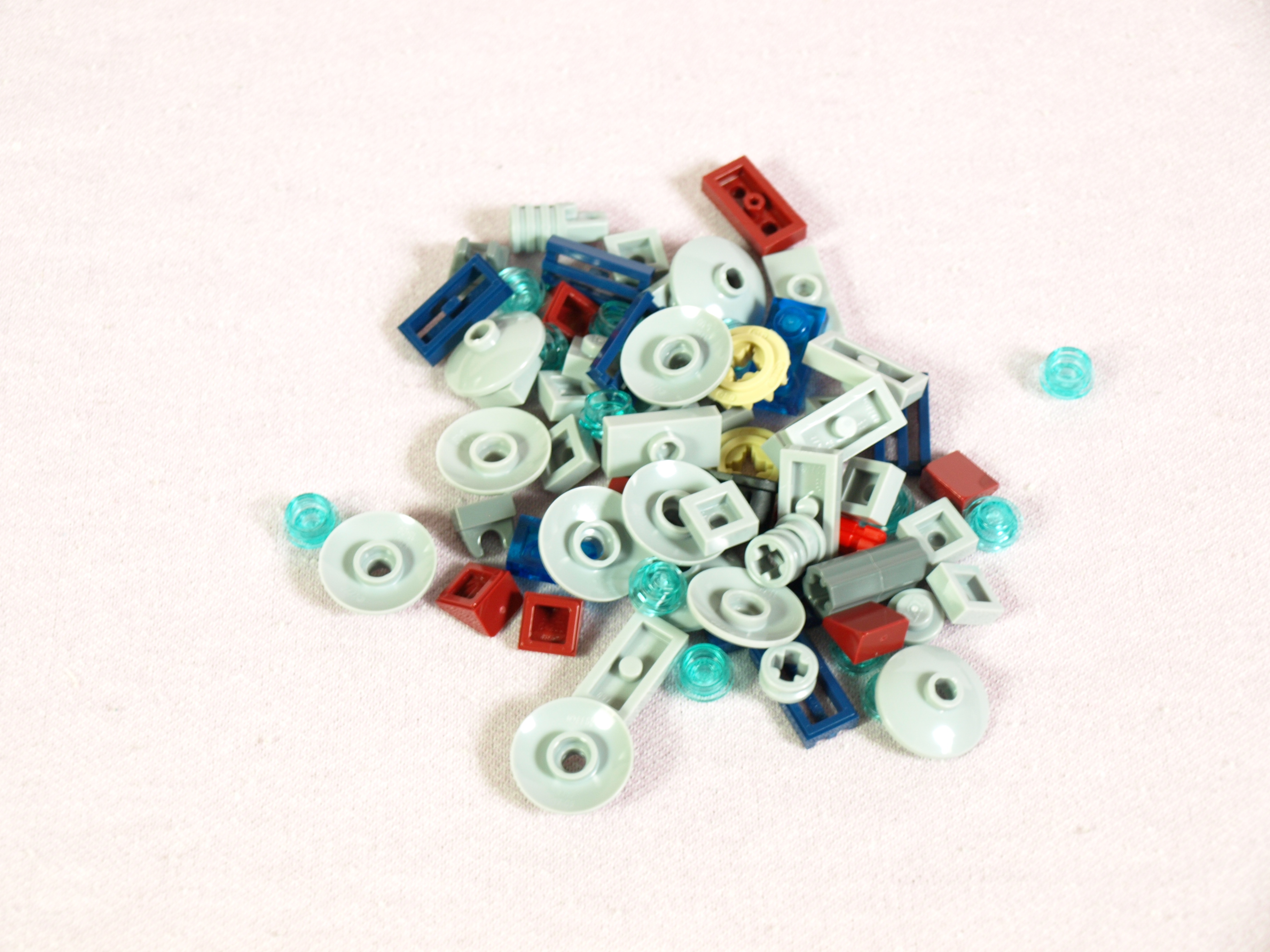 p1012138.jpg