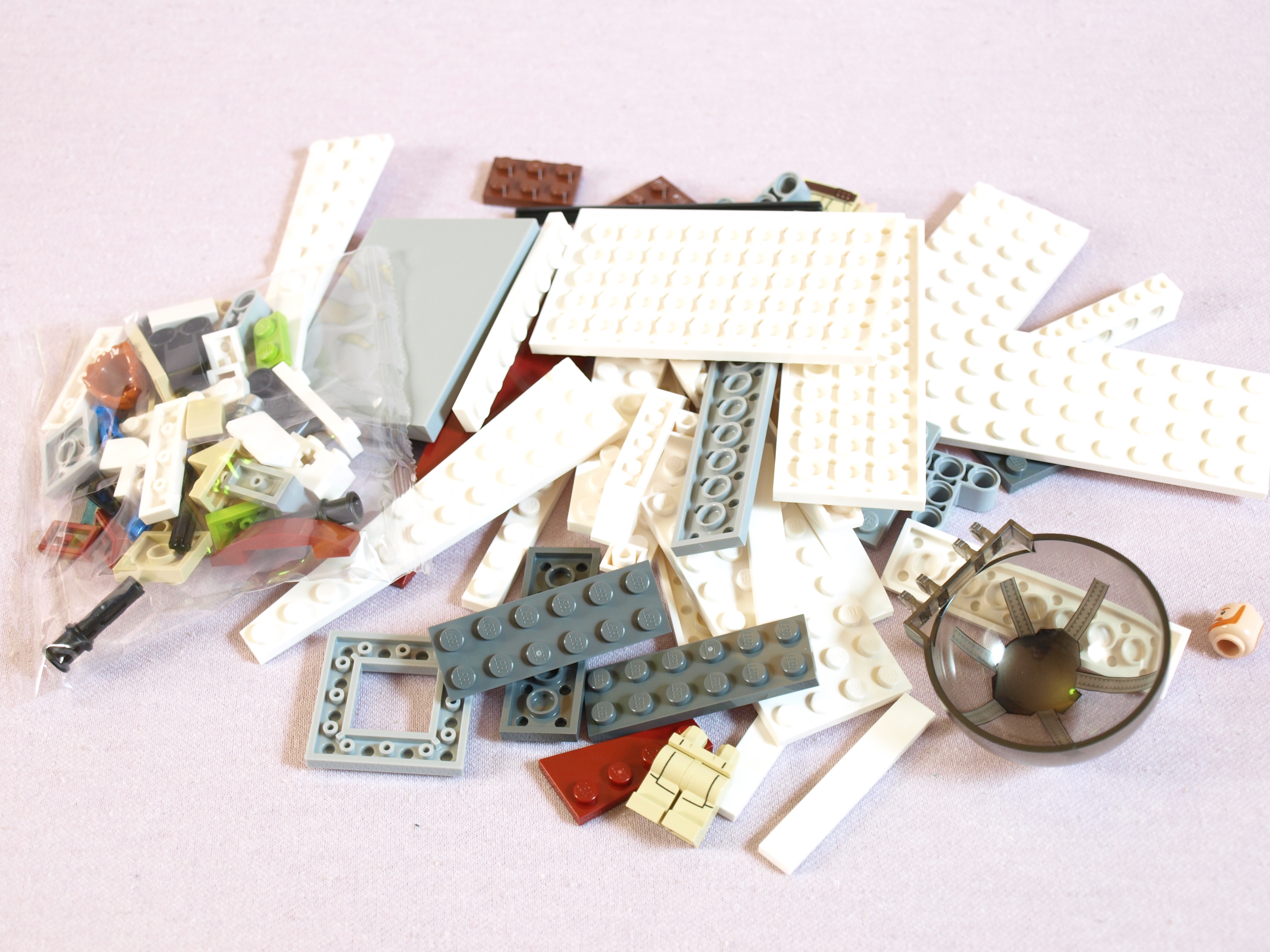 p1011452.jpg