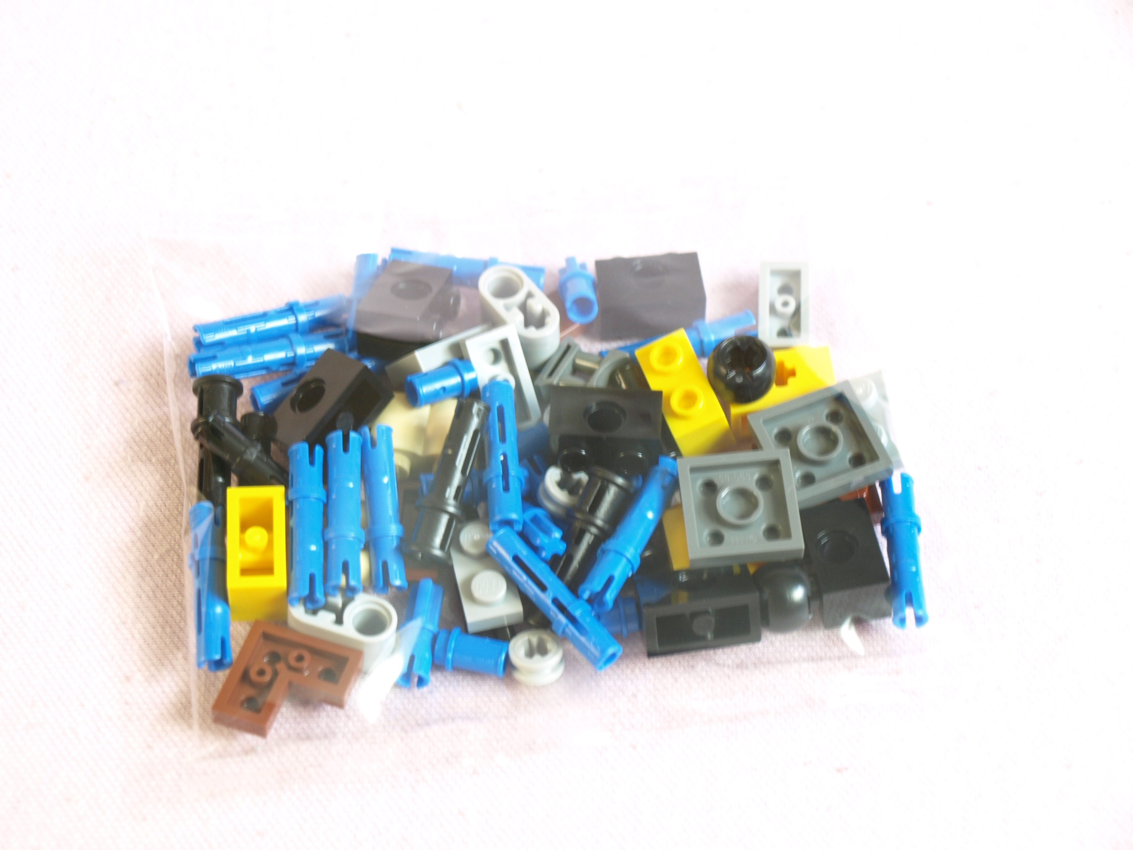 p1016100.jpg