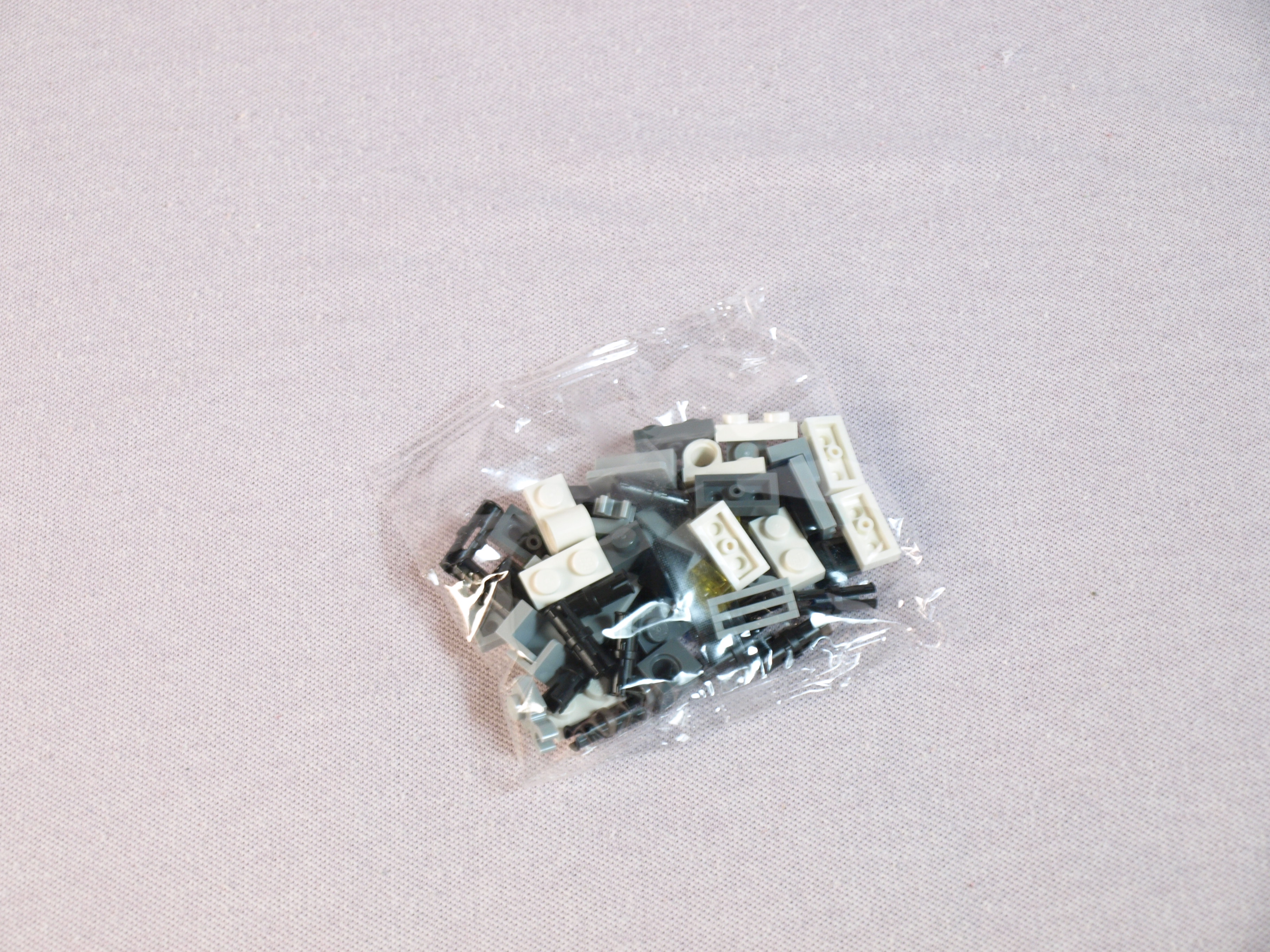p1015631.jpg